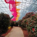 신안센터-7 | 목포 꼭 가볼만한 곳 - 신안 압해도 1004섬 분재정원