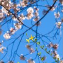 학운공원 이미지