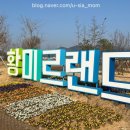 장성매점 | 광주 근교 모래놀이 + 야외놀이터 즐길 수있는 장성 황미르랜드 후기