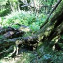 제주 물장오리오름 이미지