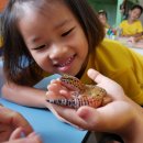 Dalat Elementary ESL Class in the library adore Jinnga 이미지