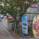 부평하나용인대태권도장 이미지