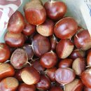 대보농장 이미지