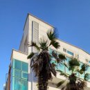 세지공인중개사사무소 이미지