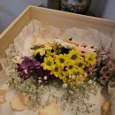 예산 위드엔젤 이미지