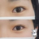 청주 용암동 속눈썹펌 엘린뷰티, 속눈썹 바~짝 올린 후기