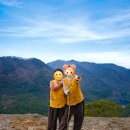 가좌1-05-043 | 보은 법주사 템플스테이 : 108배와 수정봉 등반, 알찬 체험형 후기