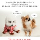 분당 과일사랑 이미지