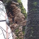 어울려놀다 이미지