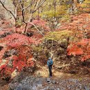 절골 티스토리
