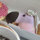 제왕절개 5일차 & 퇴원