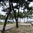 현남면사무소 | [강원/양양] 지경해수욕장 지경국민여가캠핑장 해변데크 44번 후기