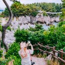 간식열차 | 해랑열차 후기 스탠다드 가격 예약 코스 동해 가볼만한곳