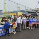 보성남초교, 보성초 이미지