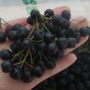 준혁농장 이미지