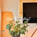 우주스테이 이미지