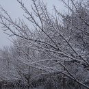 진위고등학교 이미지