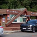 아라메길 (삼길나루길-벚꽃길) | 서해랑길80코스(삼길포항-도비도항-당진화력발전-왜목마을-장고항2리정류장)