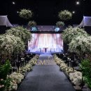 그레이스하우스 이미지