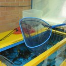 외정황토못메기 이미지