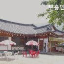 부흥민박 이미지