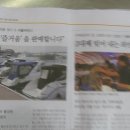 마리나민박 이미지