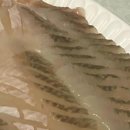 강릉횟집 이미지