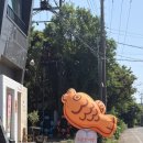 커피마신붕어 | 제주도 감성 카페 추천! 소금붕어빵이 있는 제주 카페 방문 후기 '커피마신붕어'