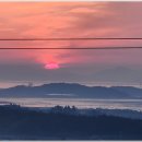 저담정농장 이미지