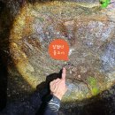경기도 가평 칼봉산 자연휴양림 (계곡 물놀이, 등산, 바비큐까지~여름 여행으로 최고!)