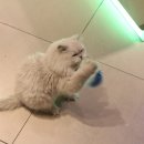 신나는 노래연습장 이미지