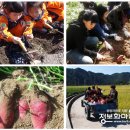 신토불이체험학습