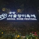 서울 일원본-110 내손안에서울