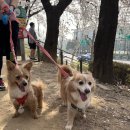 꽃길프로젝트 이미지