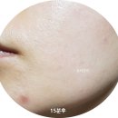 베네미 이미지