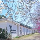 순성미술관 이미지