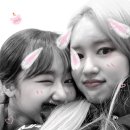 엘리 이미지