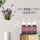 퀸에스테틱 네이버블로그