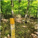 수림꽃농원 | 선운산(선운사주차장~선운사~마이재~수리봉~소래재~용문굴~마애불상~장사송~선운사~선운사주차장 11.2k...