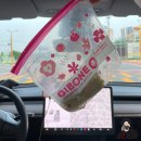 따라 백패킹과 함께 즐기기 좋은 포천 도마치 계곡 / 도마치자연그대로캠핑장 가는 길 상세 안내_24.08.03