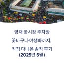 양재시장 | 양재 꽃시장 주차장·꽃바구니·야생화까지, 직접 다녀온 솔직 후기 (2025년 5월)