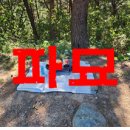 백골장의사 | 파묘 그리고 풍수 이어지는 폐문