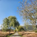 북면생태공원(다목적광장) | 북면수변공원에서 누비자를 타고 느낀 가을의 힐링