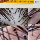 더블유엠뷰티