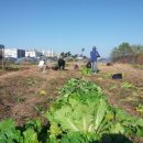 풍동농장 이미지