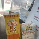 포항 카라반 구룡포 4S카라반 내돈내산 솔직후기