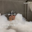 텐퍼센트커피 진주가좌점