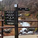 용연삼거리 | 3월 봄비내리는날 주왕산 주봉코스 등산 다녀온 후기