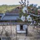 제천덕산중학교 이미지