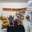 니멍내멍 | 남양주 실내애견까페 니멍내멍